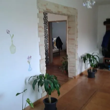 Halex 3 Homestay Bojna